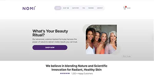 Blassoptimisation Web Design with WordPress and Elementor